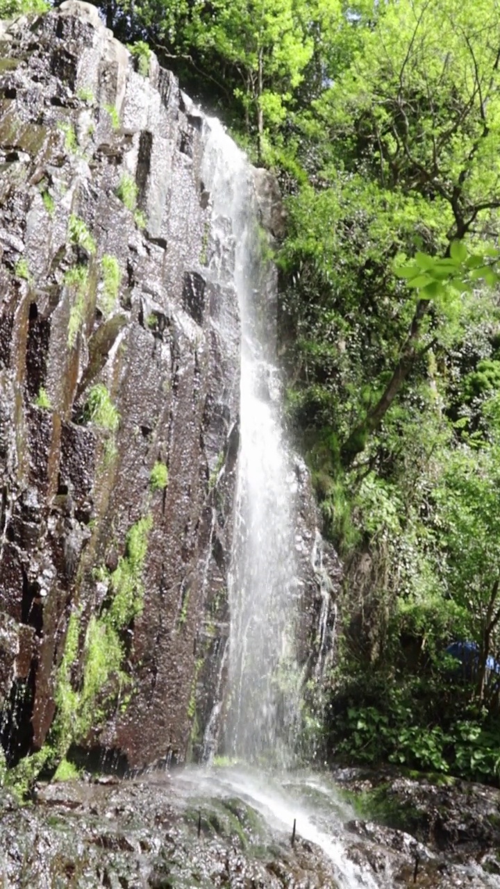 美丽的瀑布流经风景优美的峡谷，水流从岩石上落在石头上视频素材