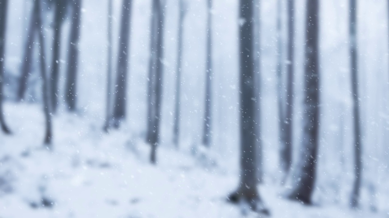 出了聚焦雪落在冬季雾蒙蒙的森林场景。视频素材