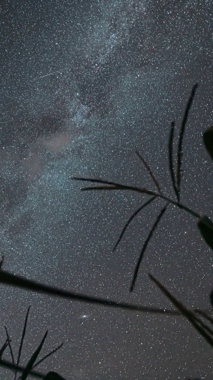 在夏季农业季节，绿色玉米田种植园上方的4K夜空与发光的星星和流星轨迹。八月里的玉米地。农业背景延时，延时，延时。视频素材