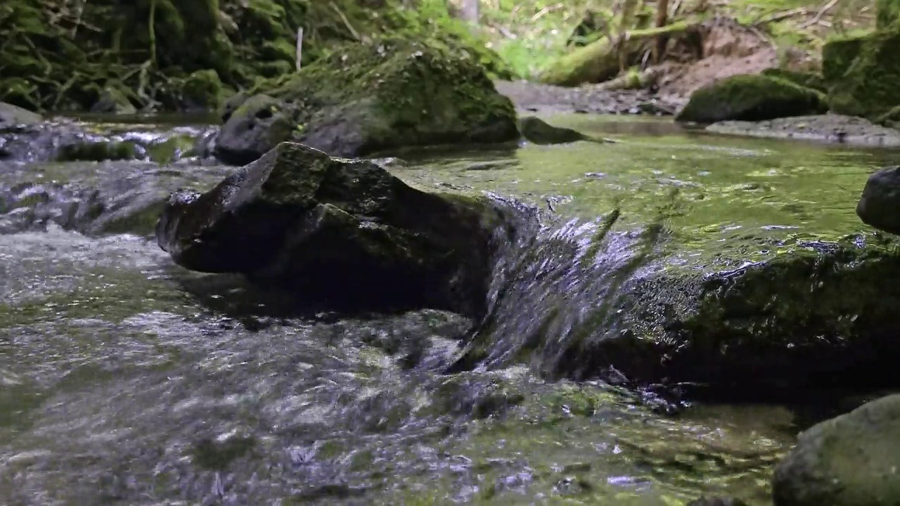 森林徒步旅行视频素材