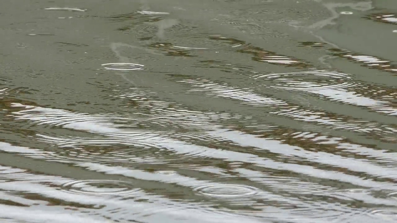 雨滴落在湖面上视频素材