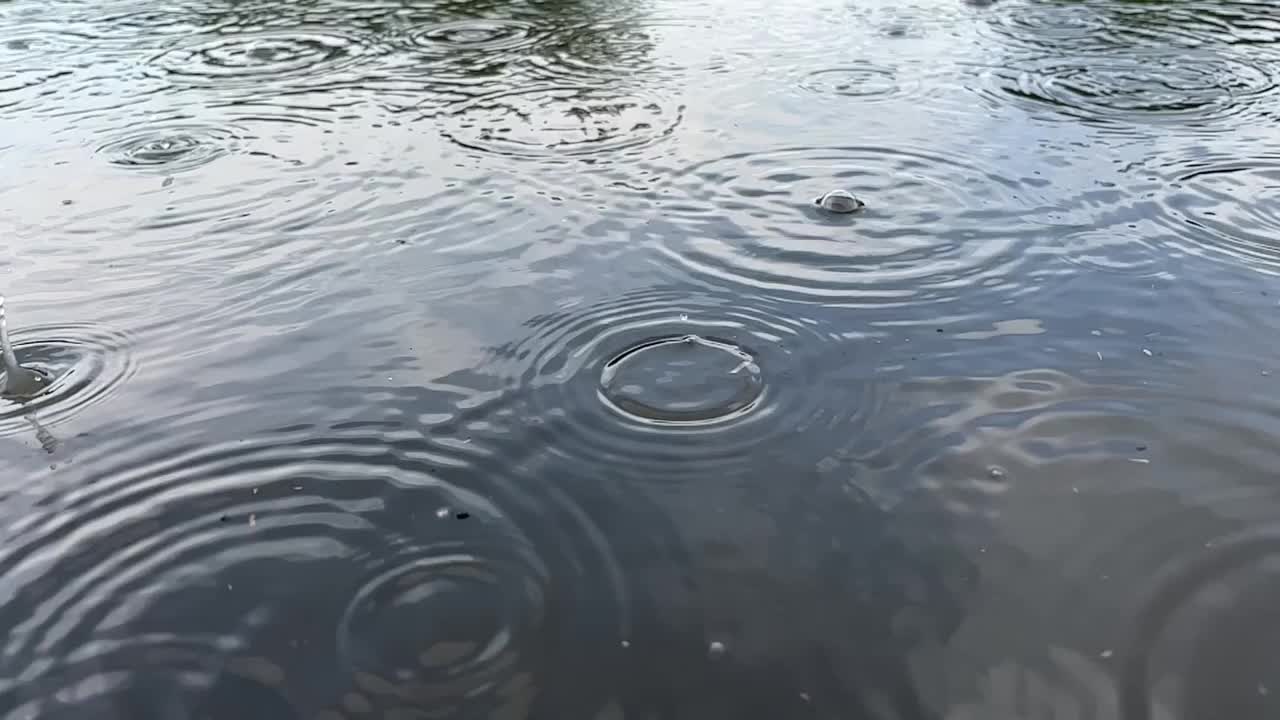 多雨的视频下载