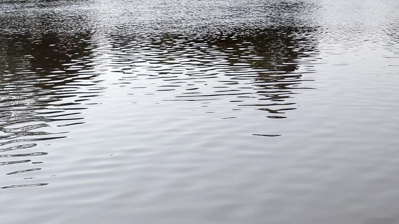 河流水面细节背景视频下载