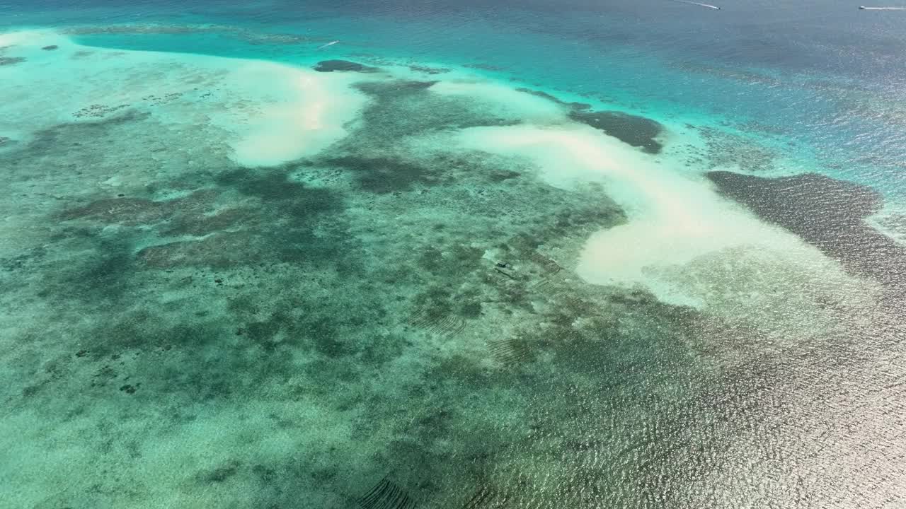 热带蓝海。视频素材