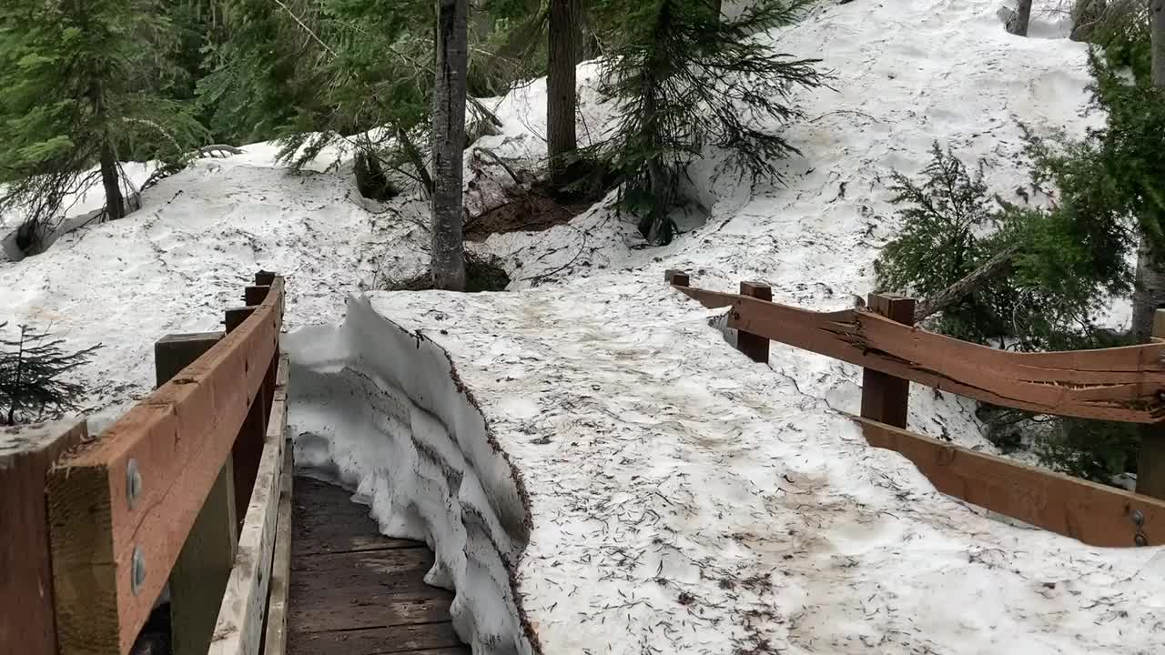 美国华盛顿，一名妇女拄着登山杖在积雪覆盖的桥上徒步视频素材