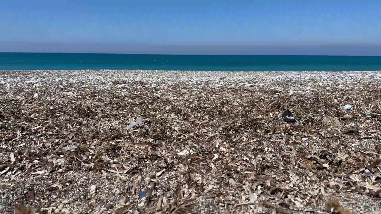 美丽的海景，绿藻和蓝天地平线视频素材