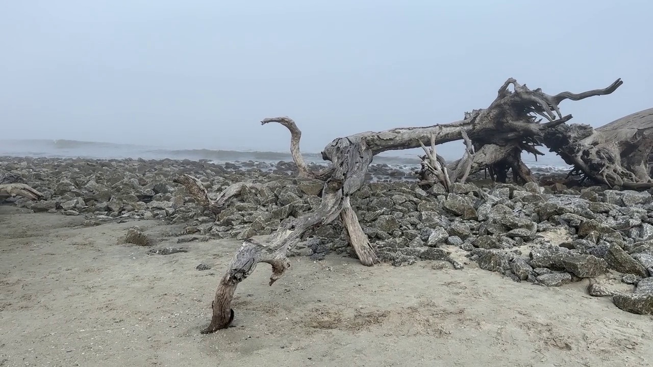 浮木海滩-杰基尔岛，格鲁吉亚在雾蒙蒙的一天，与幽灵，怪异的景观氛围视频素材