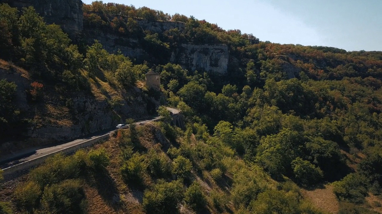 无人机在森林丘陵的道路上拍摄的野生植被视频素材