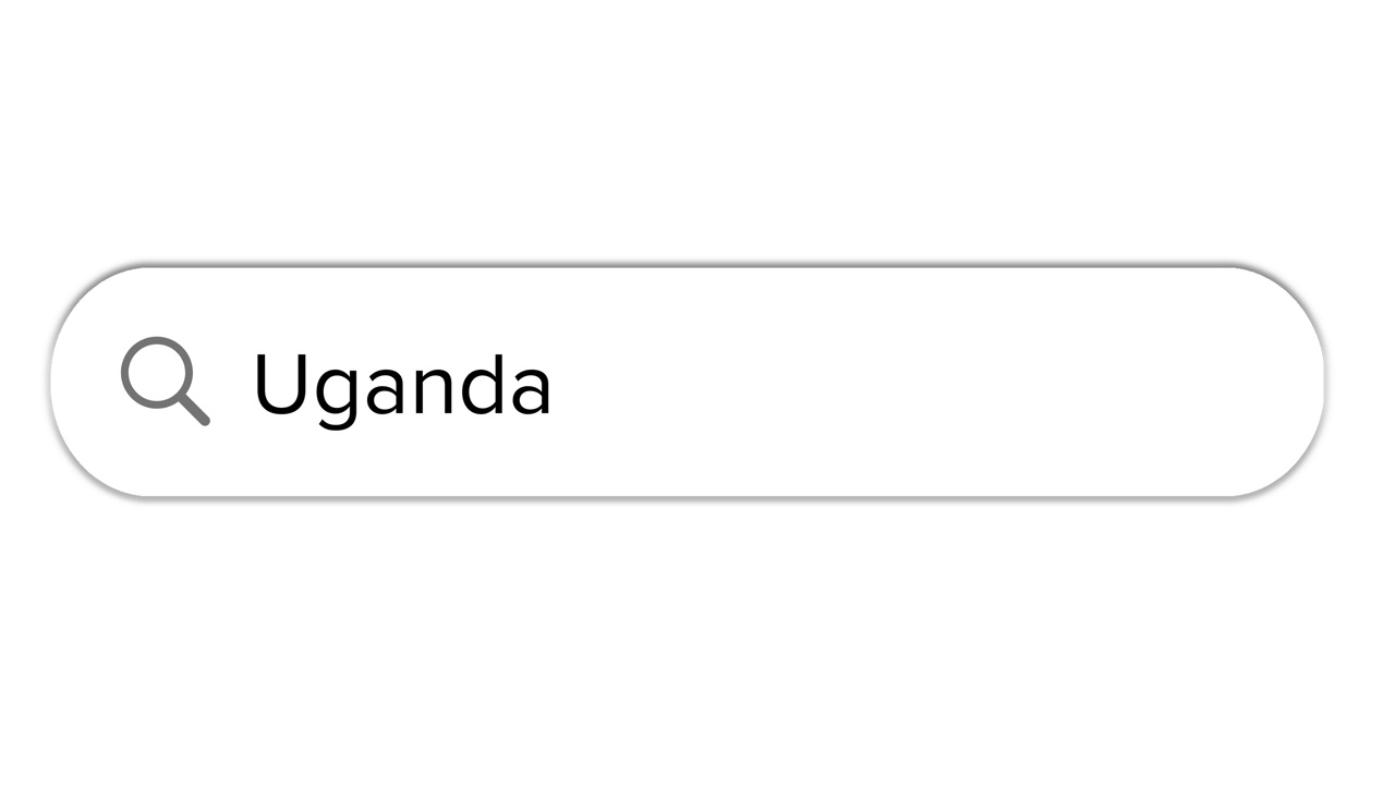 搜索栏动画白色与乌干达文本框搜索视频素材