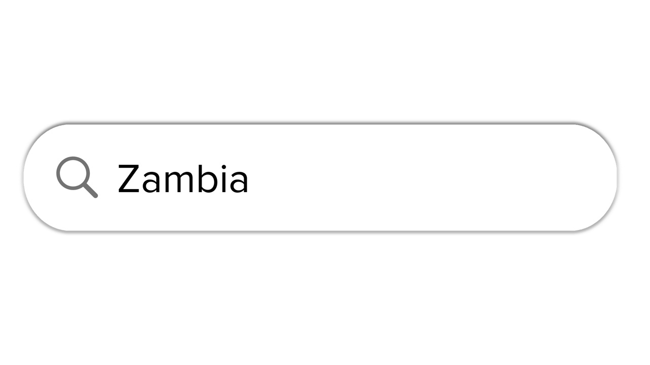 搜索栏动画白色与赞比亚文本框搜索视频素材