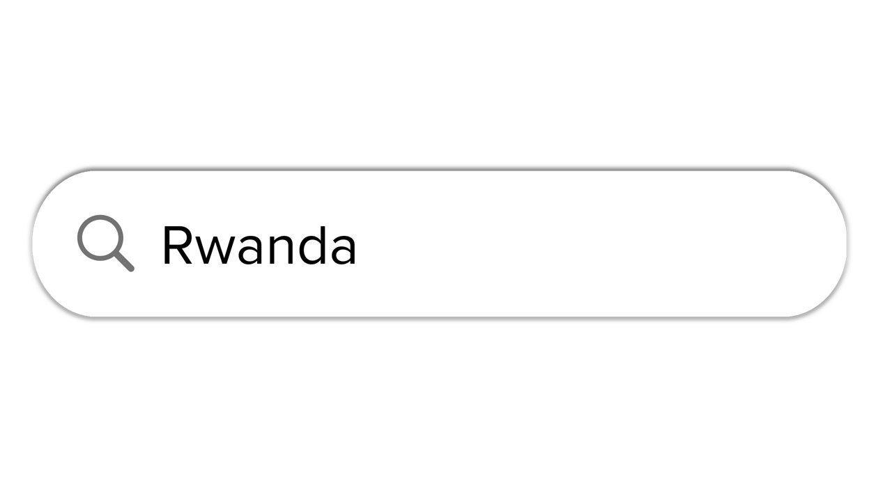 搜索栏动画白色与卢旺达文本框搜索视频素材