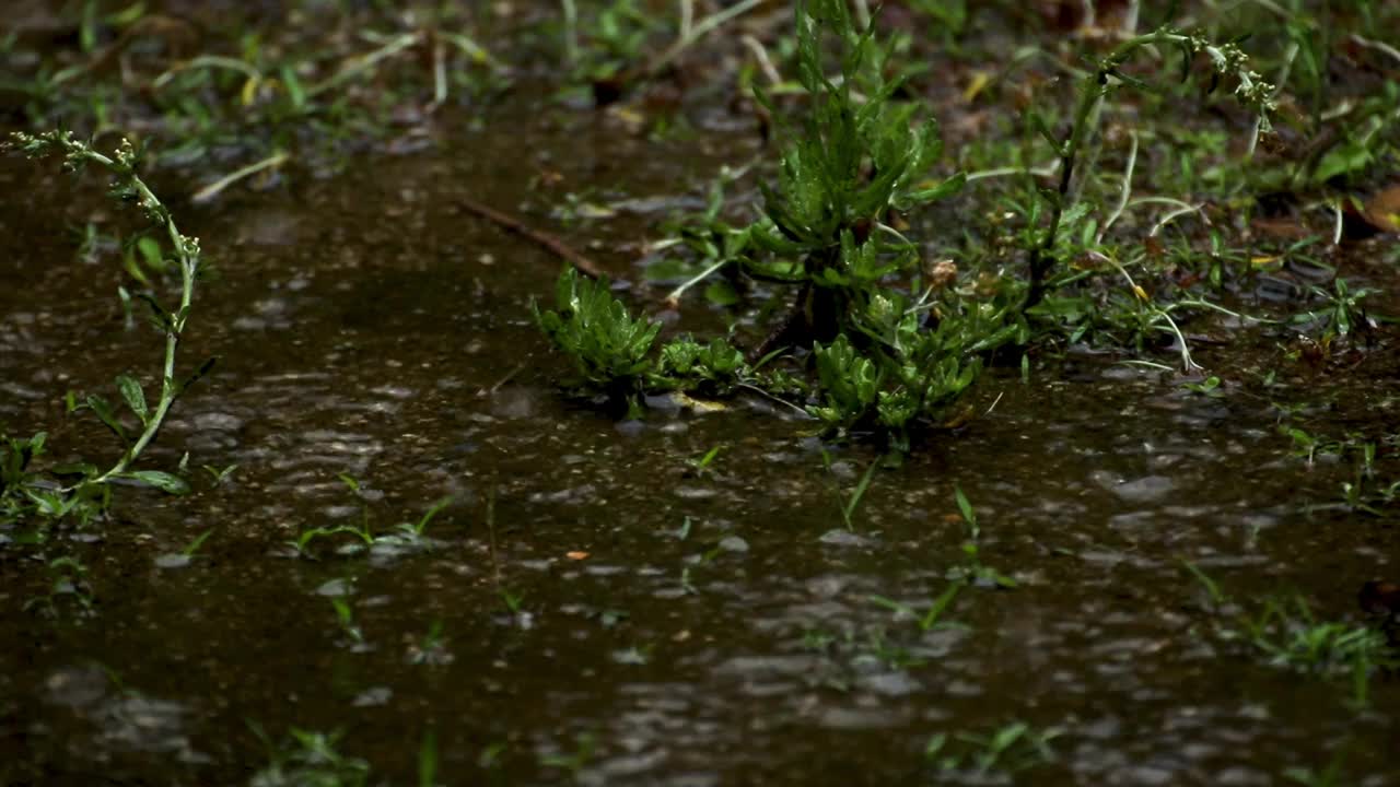 雨水落在地上的水坑里视频素材