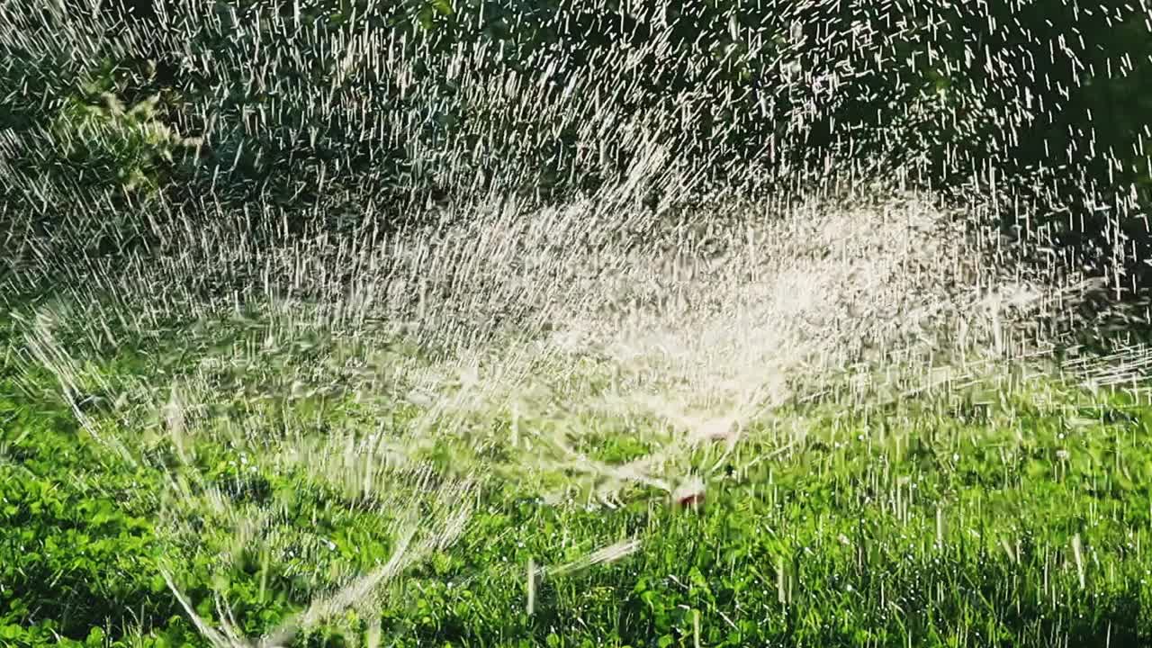 灌溉系统使草坪长满了绿草。园艺的概念。花园是用洒水灌溉的。视频素材