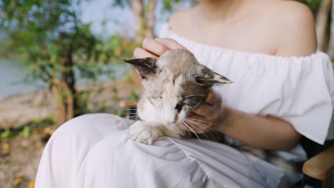 特写:一个女人抱着一只猫视频素材