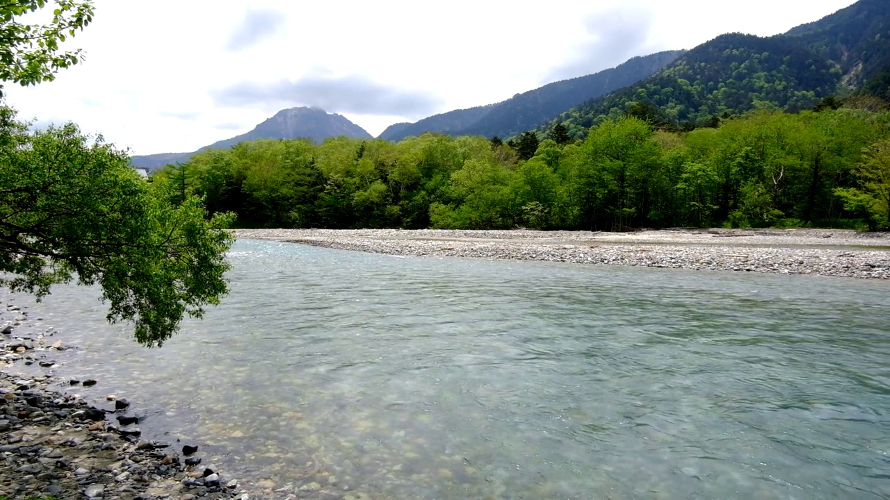 阿祖萨河，清新的绿色森林和八竹山，一只鸟渡河，上高知县，六月初，与声音视频素材