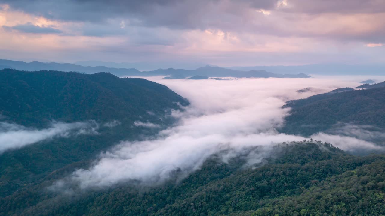 雾在山谷中流动视频素材