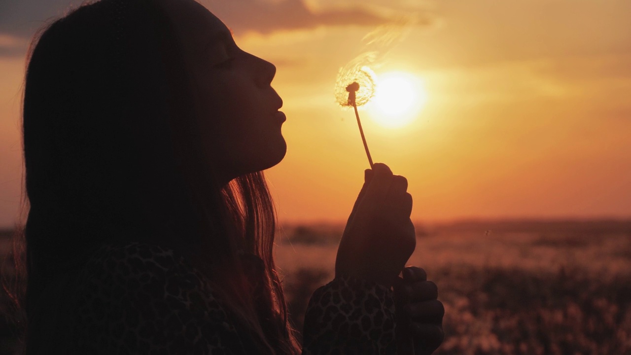 年轻的女孩在夕阳的映衬下，从一朵干花上吹下蒲公英的种子视频下载