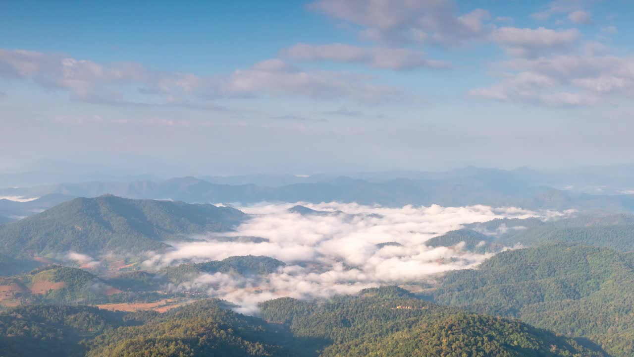 雾谷视频素材