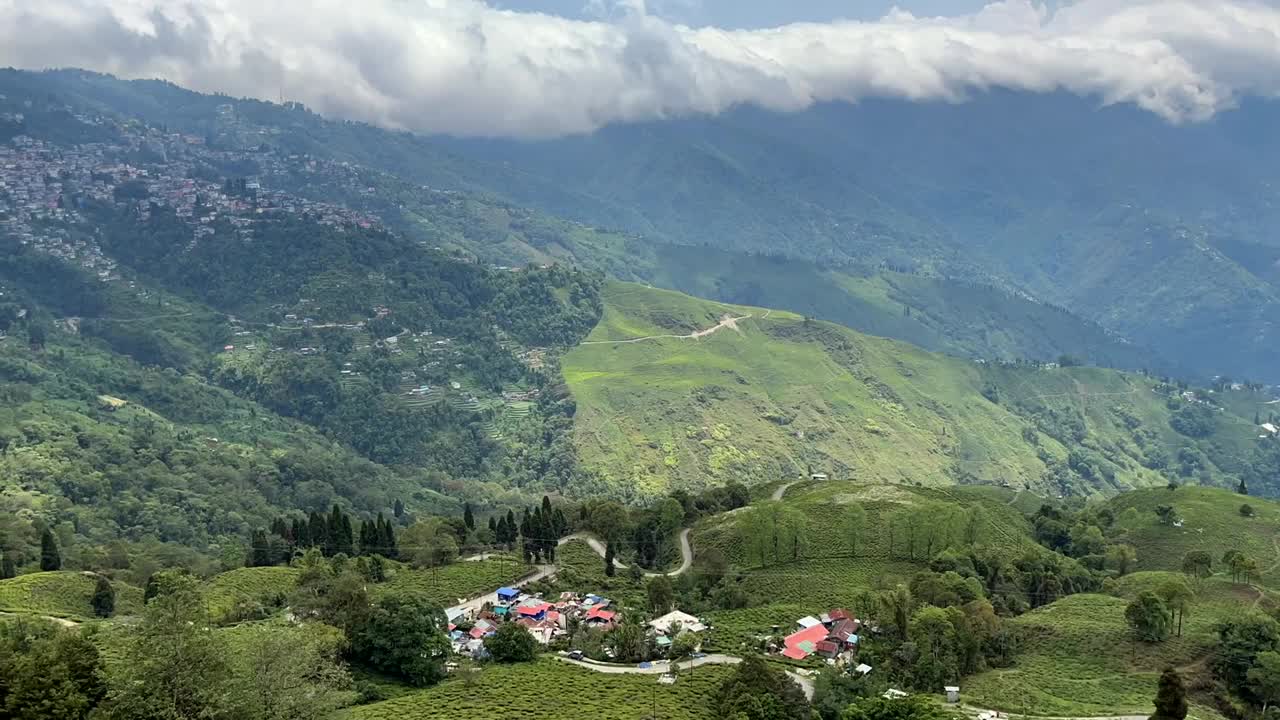 大吉岭的茶园视频素材