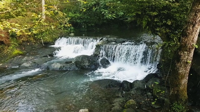 山河在野外。在一个阳光明媚的神奇早晨，森林里的瀑布视频素材