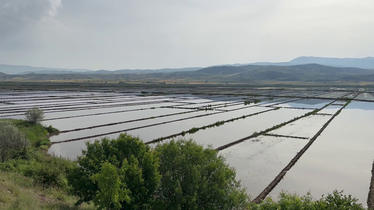 以水稻闻名的Çorum省Osmancık地区的灌溉稻田俯视图。视频下载