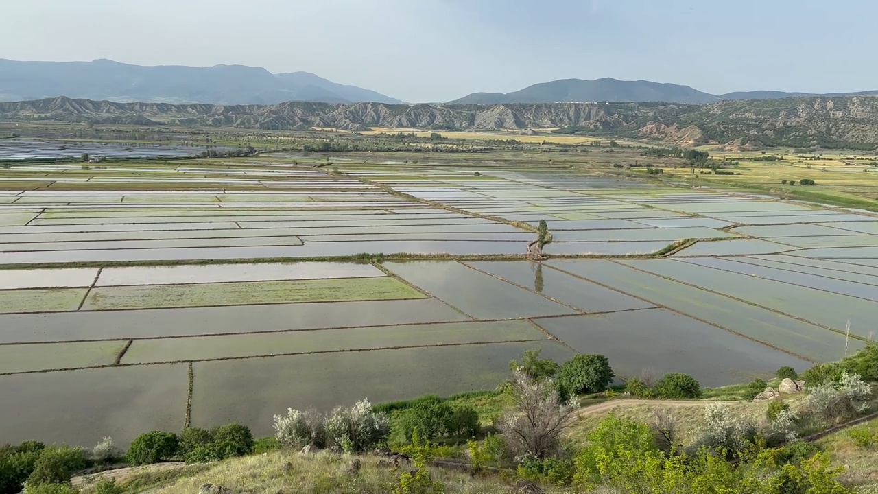 以水稻闻名的Çorum省Osmancık地区的灌溉稻田俯视图。视频素材