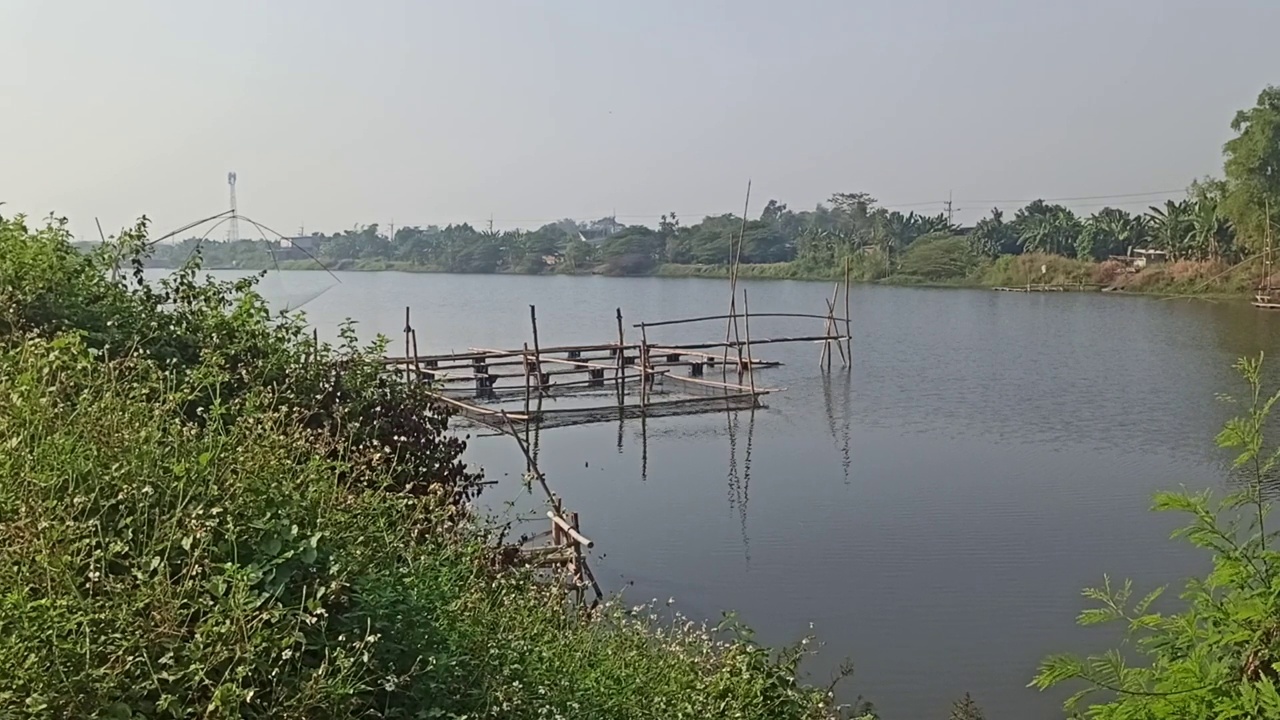 淡水鱼养殖场视频素材