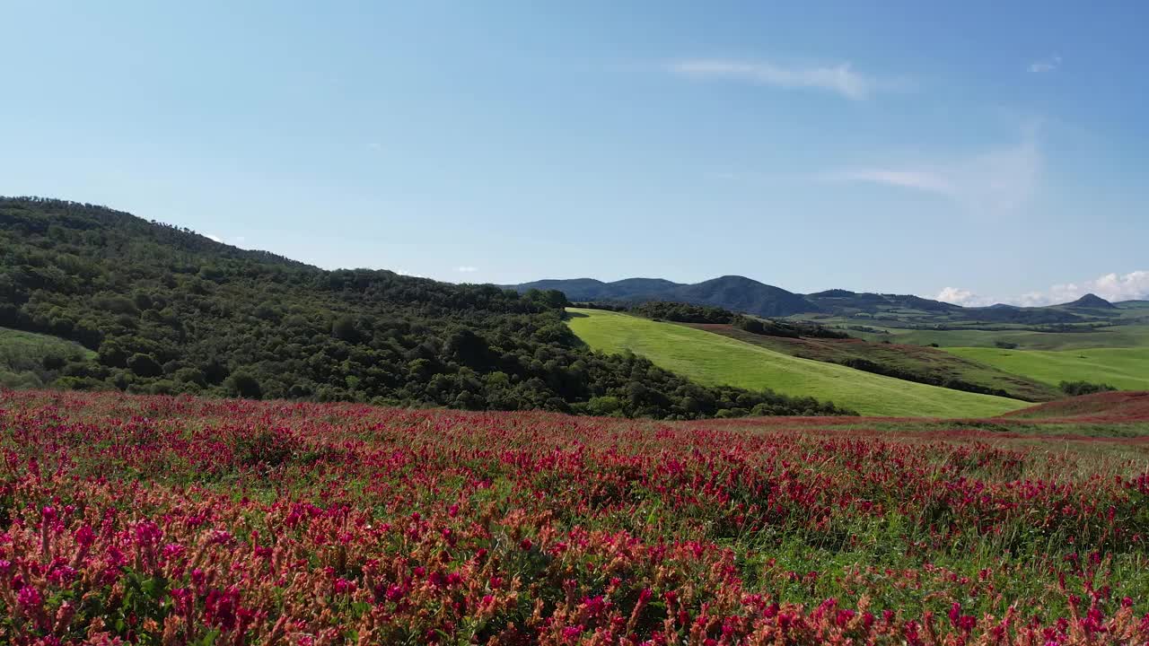 托斯卡纳，拉贾蒂科附近的风景视频素材