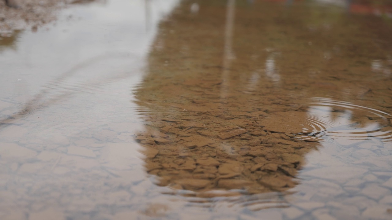 雨水滴落在水坑里视频素材