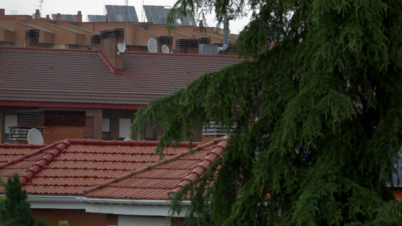 雨水落在城市的屋顶上和公园里大树的树枝上。视频素材