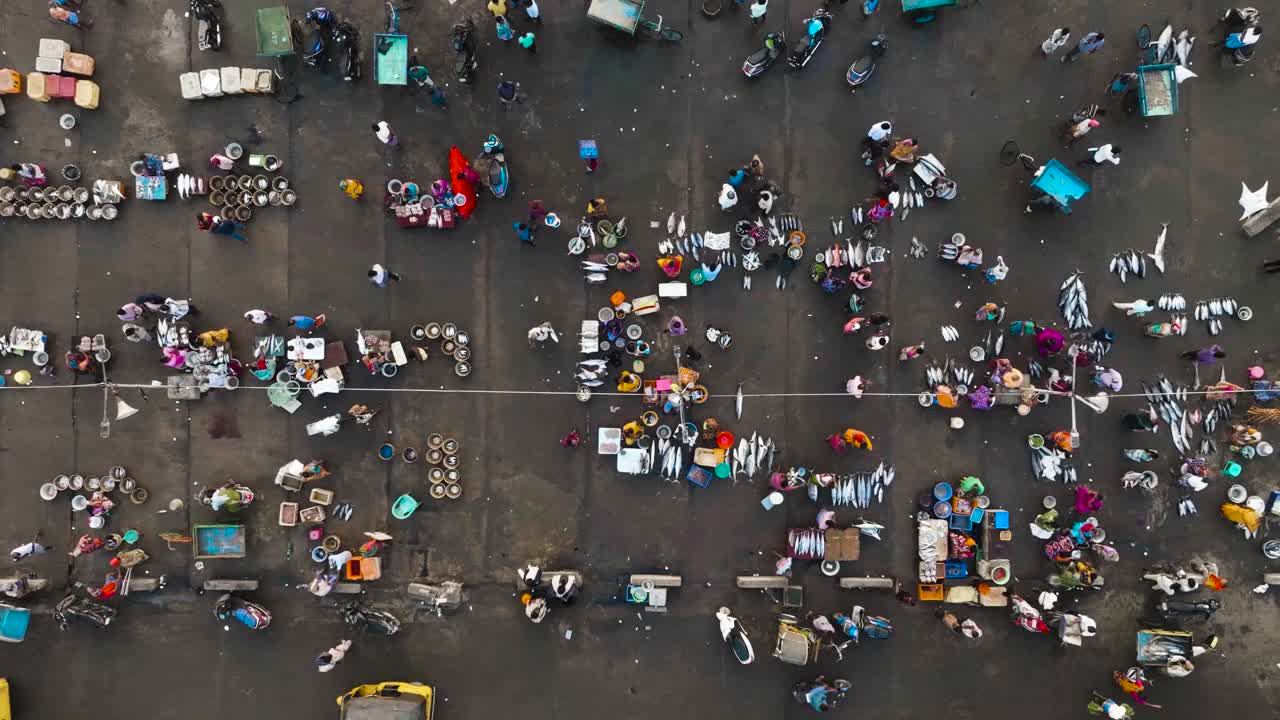 鸟瞰图捕捉到印度金奈一个混凝土码头上熙熙攘攘的渔市。视频下载