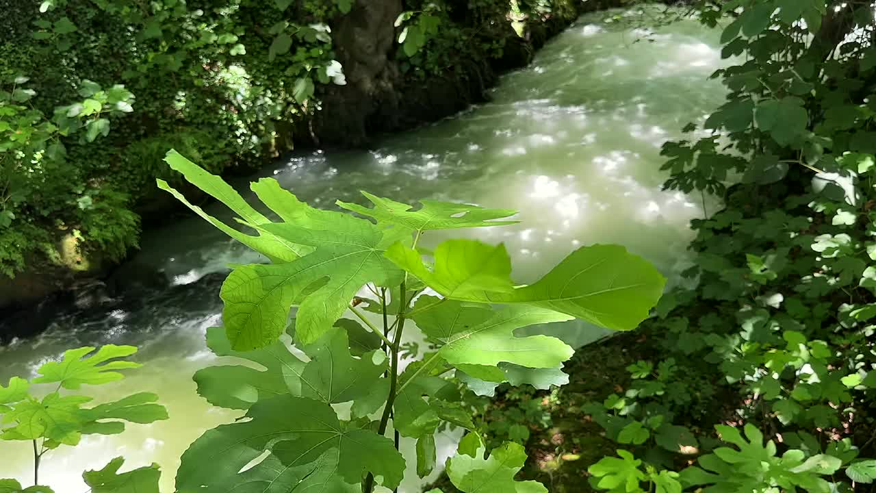 美丽的河流在山上流动视频素材