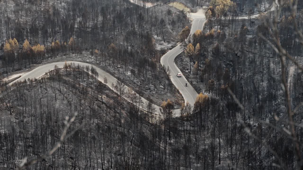 山火后被烧毁的森林包围的山路——气候变化问题视频素材