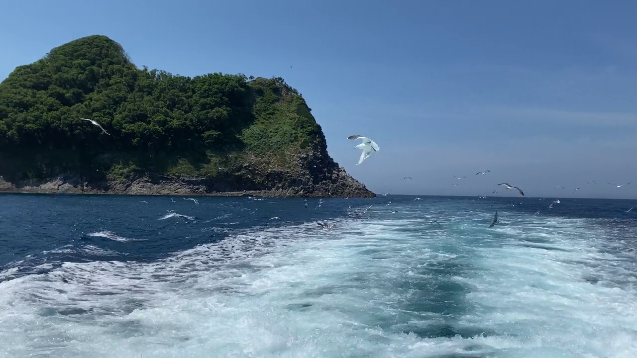 唤醒海浪和海鸥视频素材