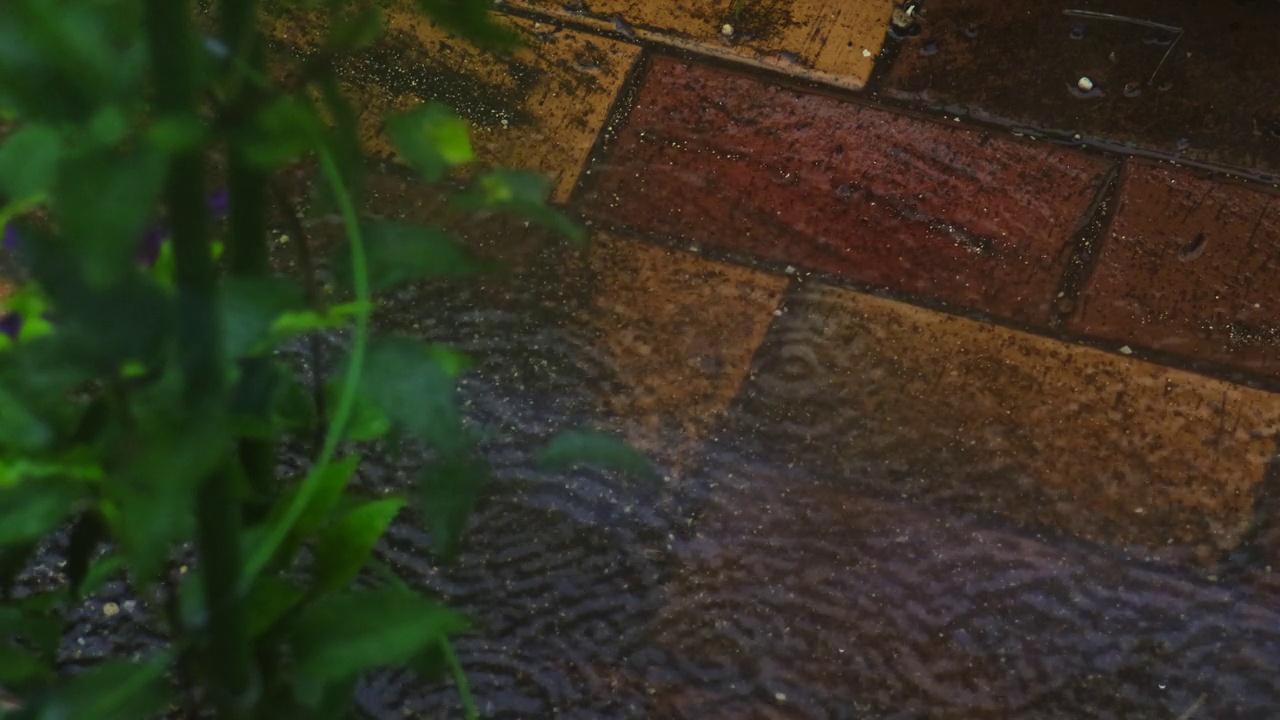 大雨落在水坑里视频素材