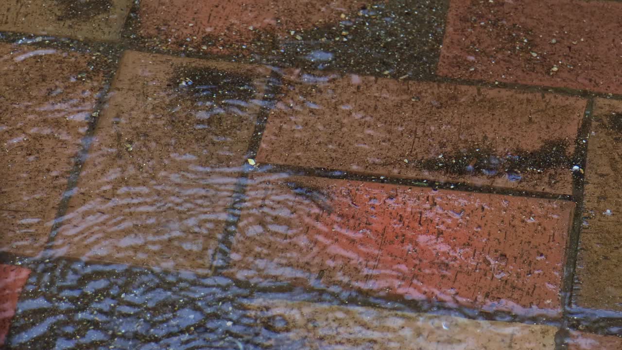 大雨落在水坑里视频素材