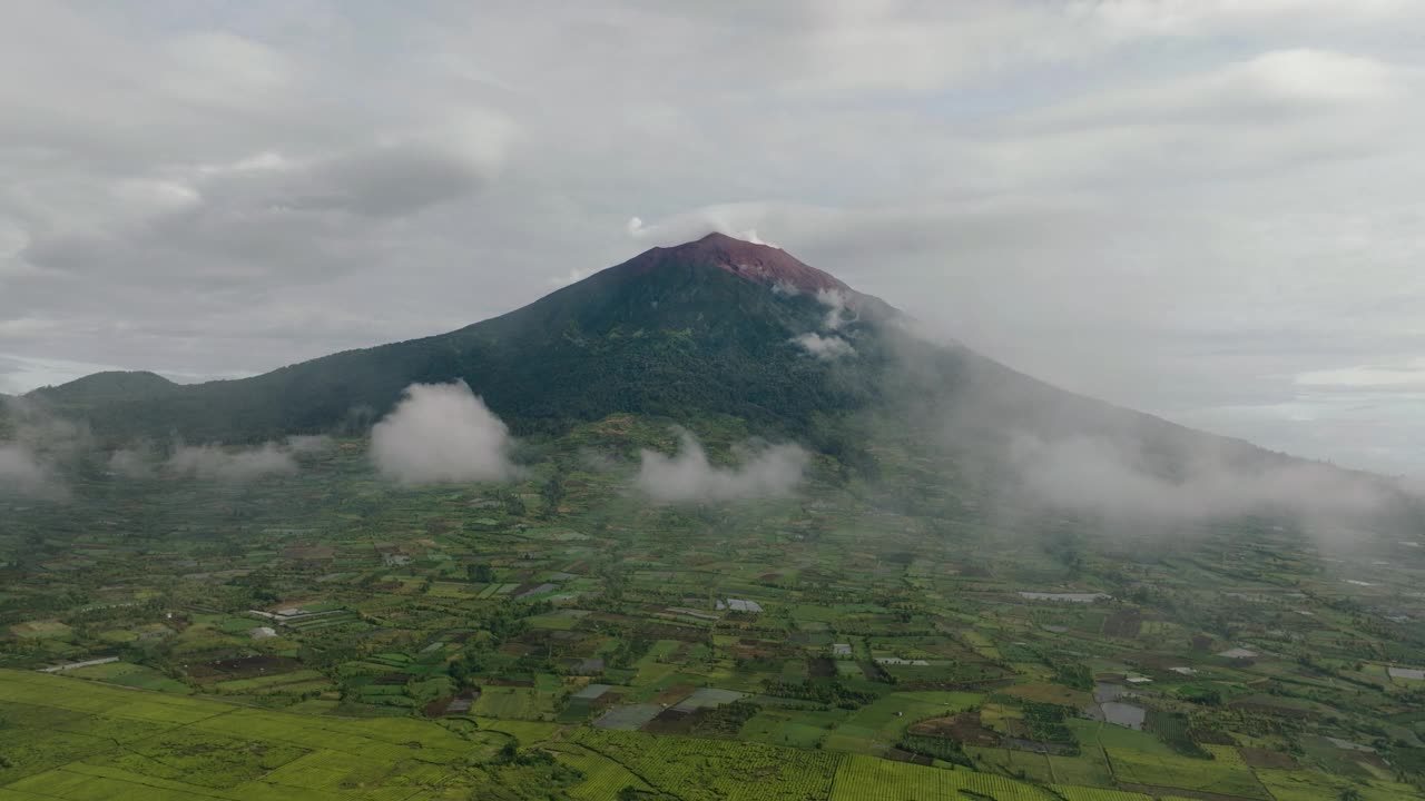 茶园Kayu Aro和Mount Kerinci。印度尼西亚苏门答腊。视频素材