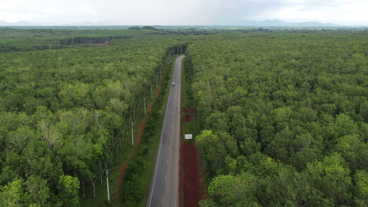 泰国森林公路的俯视图视频素材