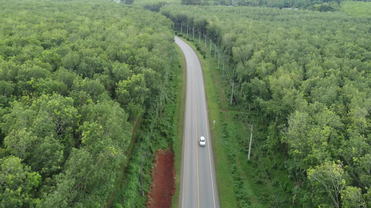 泰国森林公路的俯视图视频素材