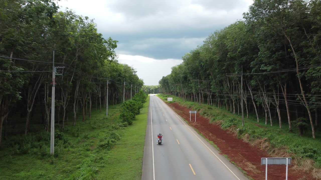 泰国森林公路的俯视图视频素材