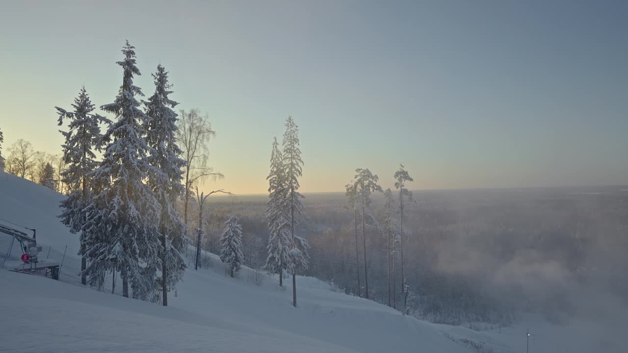 日落时雪坡上美丽的冬季森林视频下载