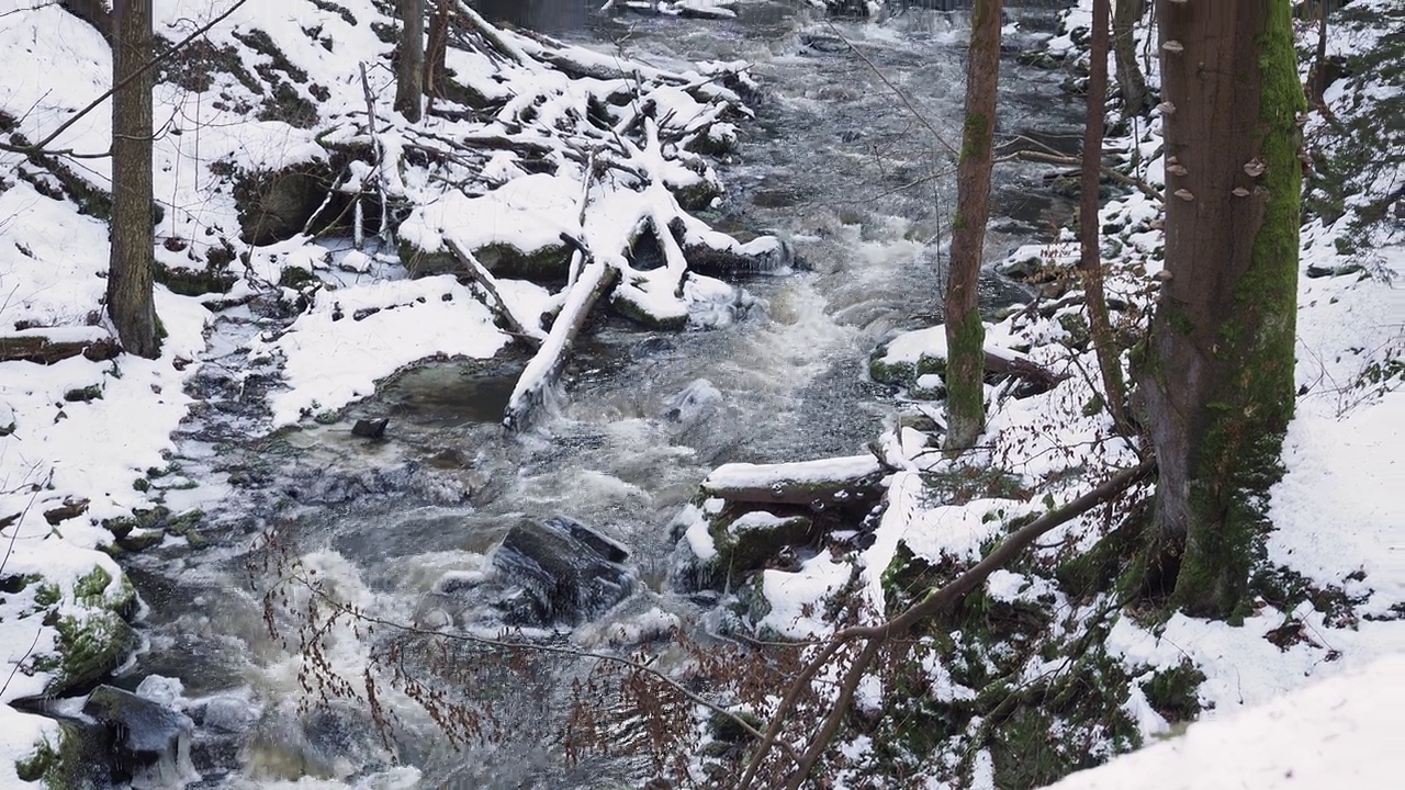 捷克共和国，白雪皑皑的山谷中的河流和急流视频素材