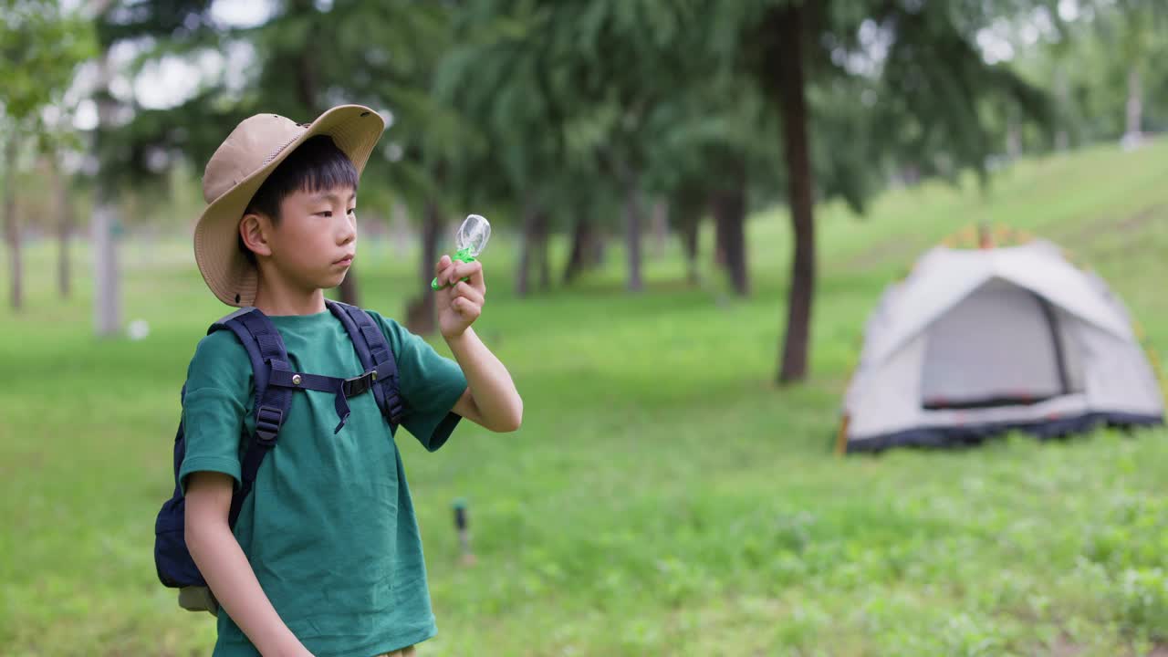 一个亚洲男孩正在观察他捉到的昆虫视频素材