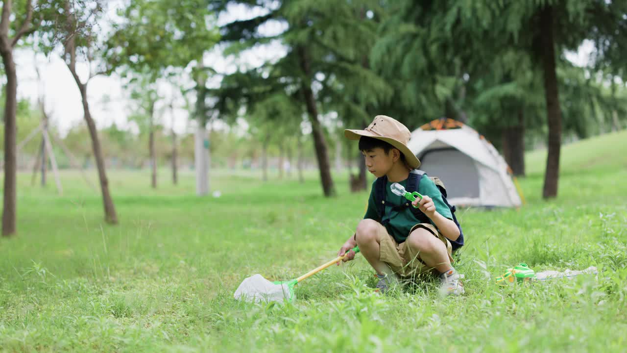 一名亚洲小学生在户外捕捉昆虫视频素材