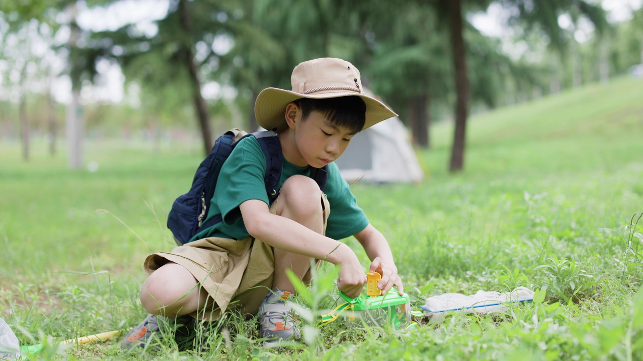 图为，一名亚洲小学生正在户外观察昆虫视频素材