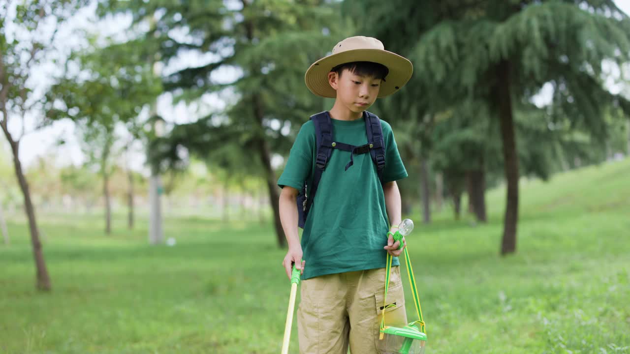 一个亚洲男孩正在森林里捉昆虫视频素材