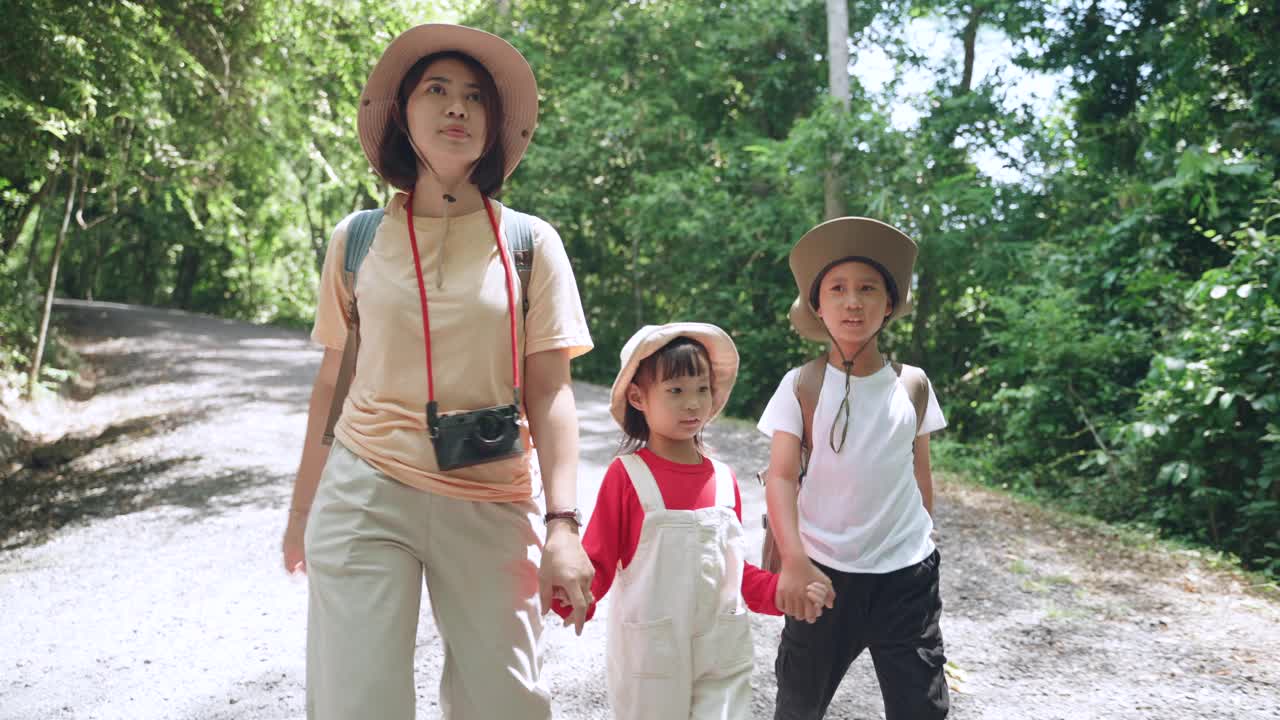 妈妈和孩子们，男孩和女孩都在森林里散步，旅行大自然。视频素材