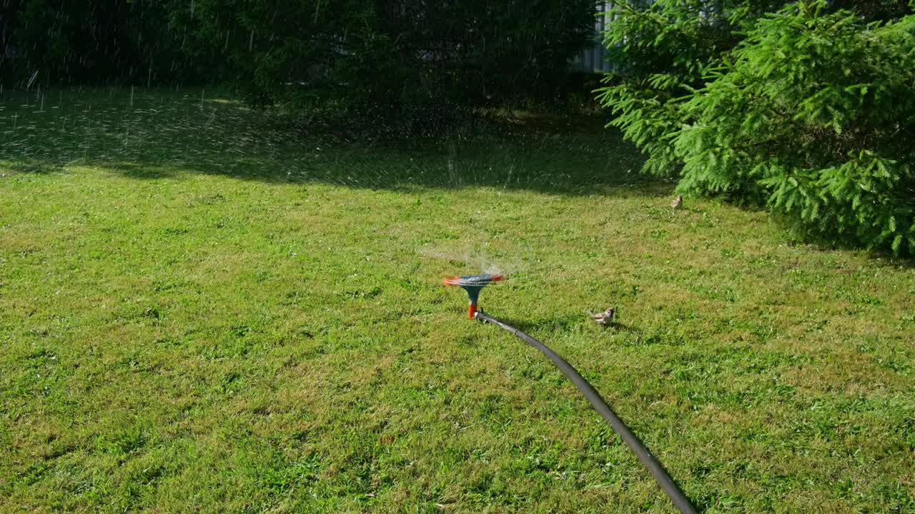 院子里的草坪用喷水器自动浇水。水花在草地上飞舞。户外4k镜头，慢动作视频素材