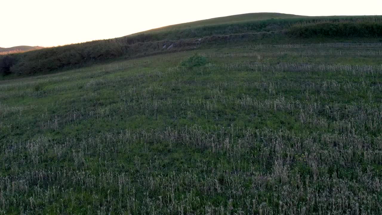 托斯卡纳，无人机在沃尔泰拉乡村上空跟踪视频素材