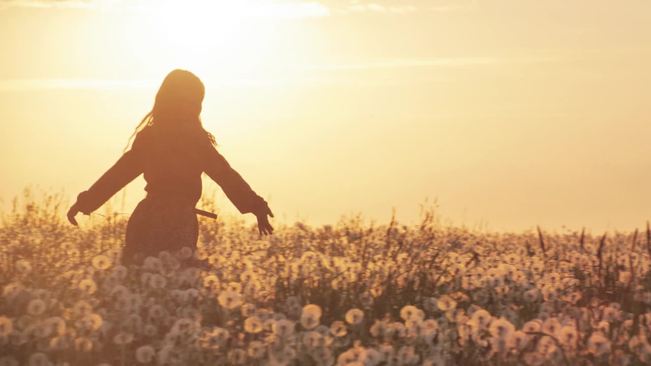 快乐的波西米亚女孩在夕阳的映衬下，带着干蒲公英跑过田野视频素材